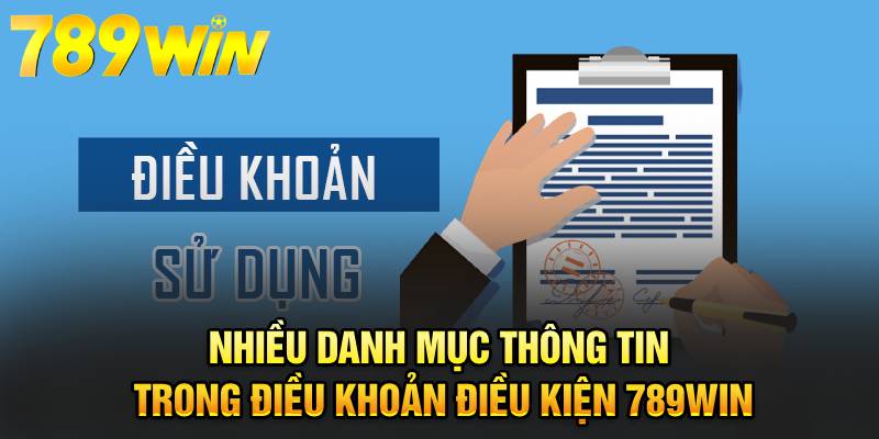 Nhiều danh mục thông tin trong Điều khoản điều kiện 789WIN